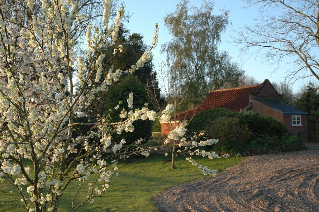 Field Cottage Bed And Continental Breakfast East Harling Стая снимка